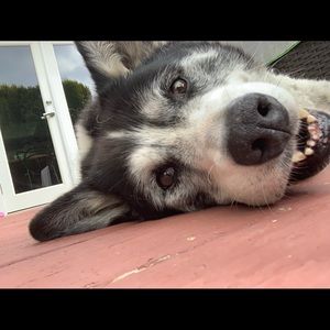 Meet your Posher, Cheryl